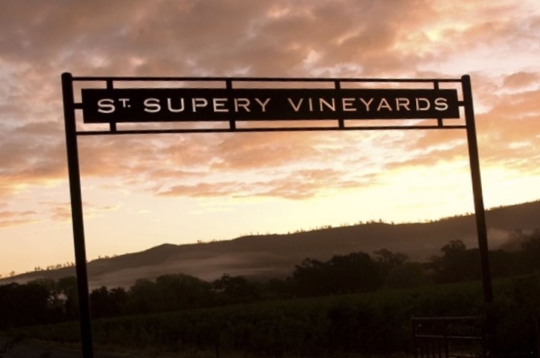Photo for: St. Supery Estate Vineyards and Winery - Napa Valley